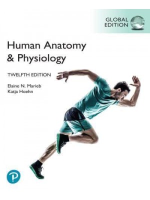 Human Anatomy & Physiology
