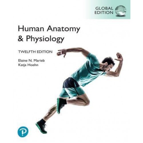 Human Anatomy & Physiology
