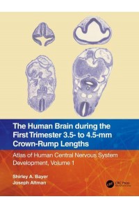 The Human Brain during the First Trimester 3.5- to 4.5-mm Crown-Rump Lengths: Atlas of Human Central Nervous System Development, Volume 1