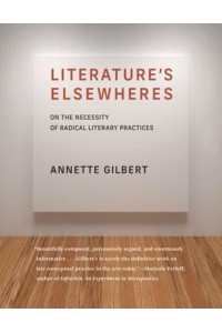 Literature's Elsewheres On the Necessity of Radical Literary Practices