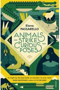 Animals Strike Curious Poses Essays