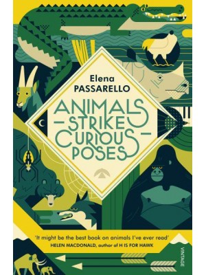 Animals Strike Curious Poses Essays