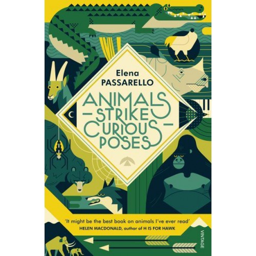 Animals Strike Curious Poses Essays