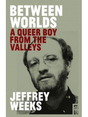 Between Worlds A Queer Boy from the Valleys