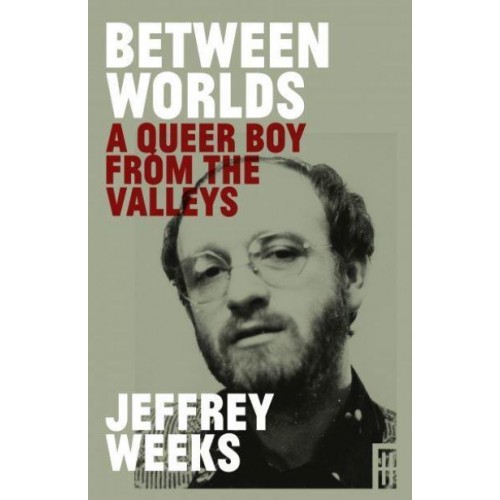 Between Worlds A Queer Boy from the Valleys