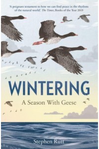 Wintering A Season With Geese