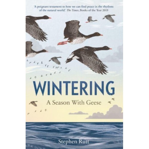 Wintering A Season With Geese