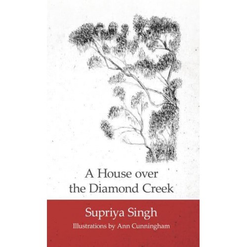 A House Over Diamond Creek