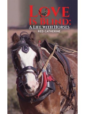 Love Is Blind A Life With Horses