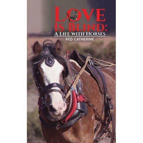 Love Is Blind A Life With Horses