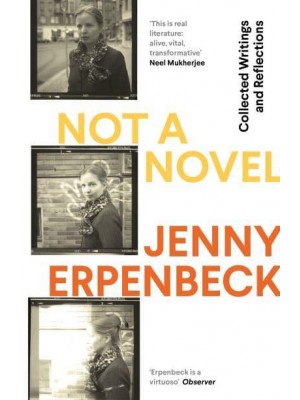 Not a Novel Collected Writings and Reflections