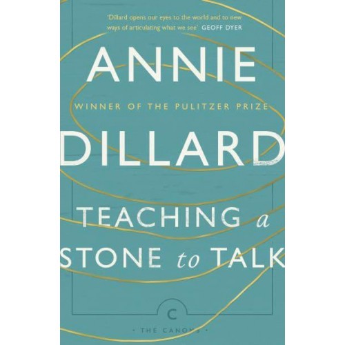 Teaching a Stone to Talk - The Canons