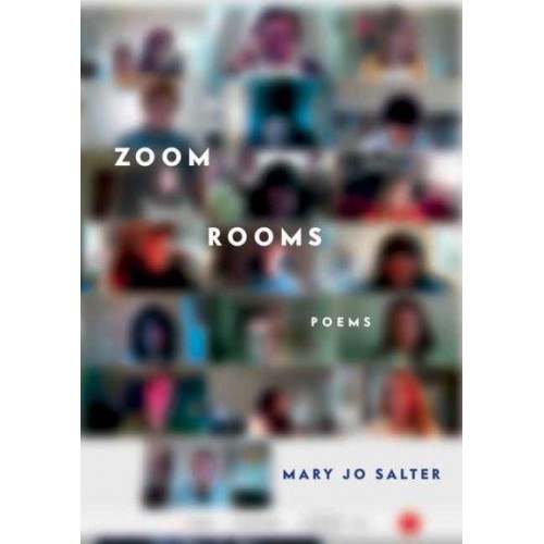 Zoom Rooms Poems