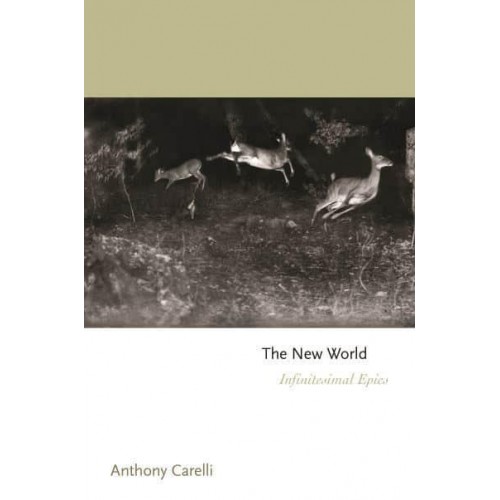 The New World Infinitesimal Epics - Princeton Series of Contemporary Poets