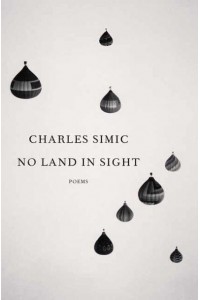 No Land in Sight Poems