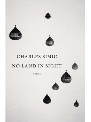 No Land in Sight Poems