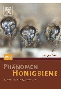 Phänomen Honigbiene