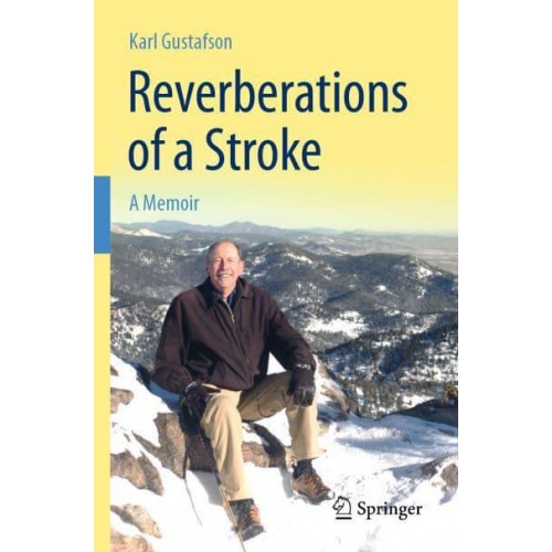 Reverberations of a Stroke : A Memoir