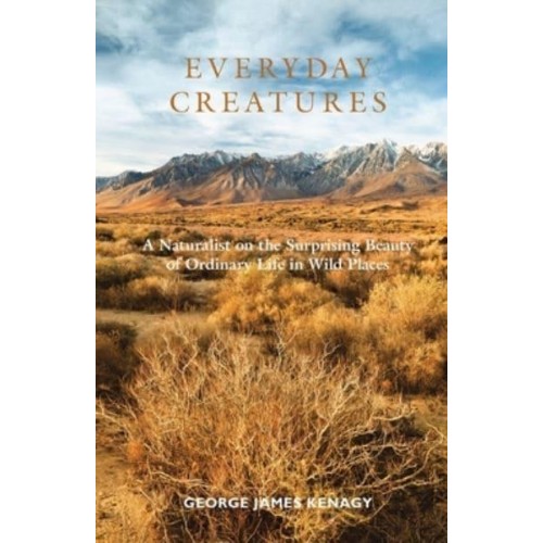 Everyday Creatures: A Naturalist on the Surprising Beauty of Ordinary Life in Wild Places
