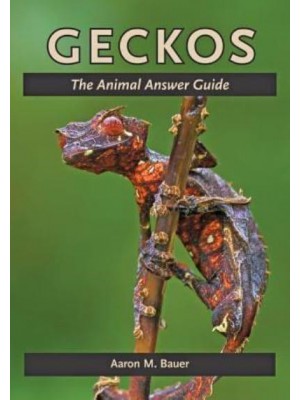 Geckos The Animal Answer Guide - The Animal Answer Guides: Q&A for the Curious Naturalist