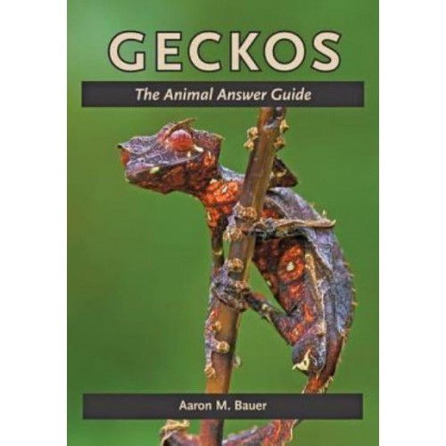 Geckos The Animal Answer Guide - The Animal Answer Guides: Q&A for the Curious Naturalist