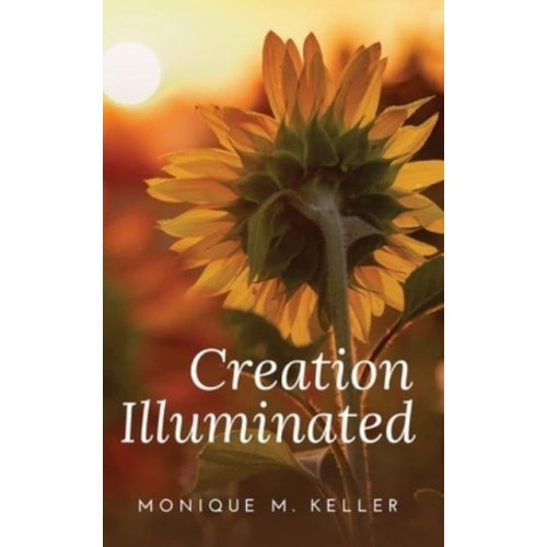 Creation Illustrated