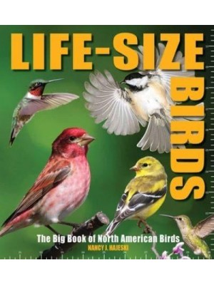 Life-Size Birds The Big Book of North American Birds