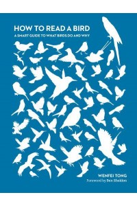 How to Read a Bird A Smart Guide to What Birds Do and Why