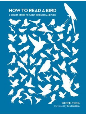 How to Read a Bird A Smart Guide to What Birds Do and Why