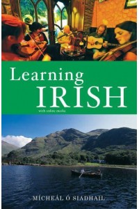 Learning Irish Text With Online Media
