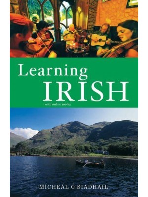 Learning Irish Text With Online Media