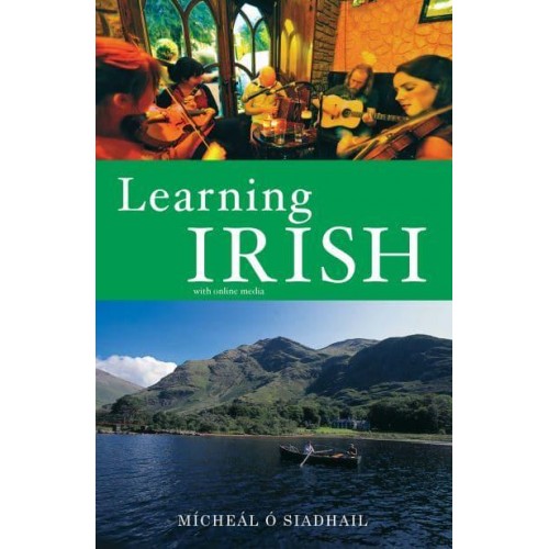 Learning Irish Text With Online Media