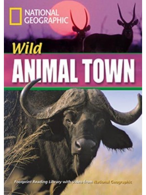 Wild Animal Town Footprint Reading Library 1600