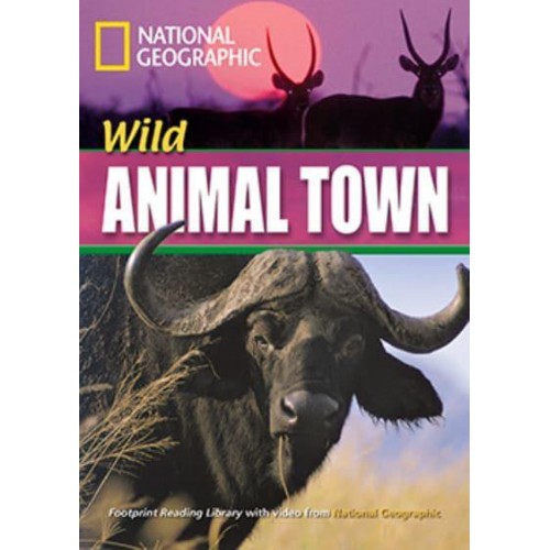 Wild Animal Town Footprint Reading Library 1600