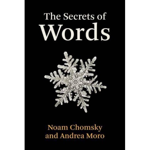 The Secrets of Words