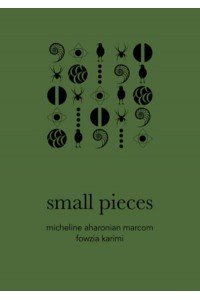 Small Pieces - American Literature