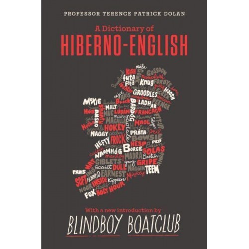 A Dictionary of Hiberno English