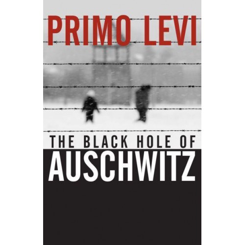 The Black Hole of Auschwitz