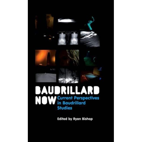 Baudrillard Now Current Perspectives in Baudrillard Studies - Theory Now
