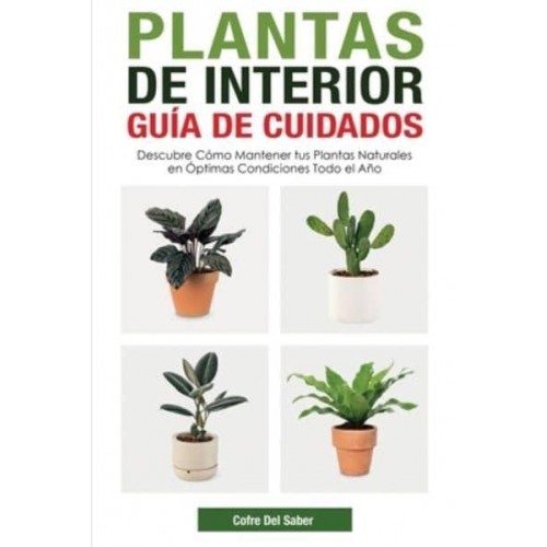 Plantas de Interior - Guía de Cuidados: Descubre Cómo Mantener tus Plantas Naturales en Óptimas Condiciones Todo el Año