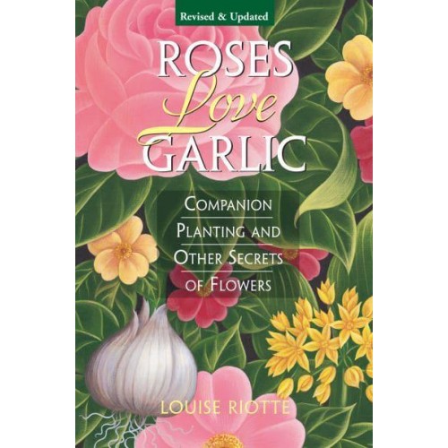Roses Love Garlic Companion Planting and Other Secrets of Flowers