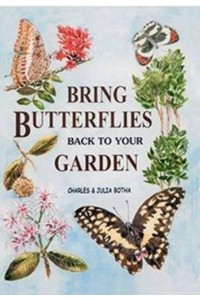 Bring Butterflies Back to Your Garden