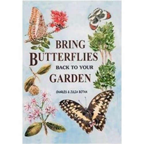 Bring Butterflies Back to Your Garden