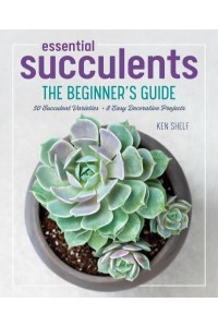 Essential Succulents The Beginner's Guide