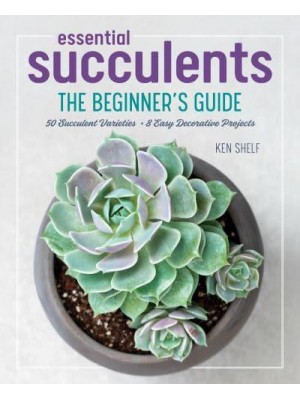 Essential Succulents The Beginner's Guide