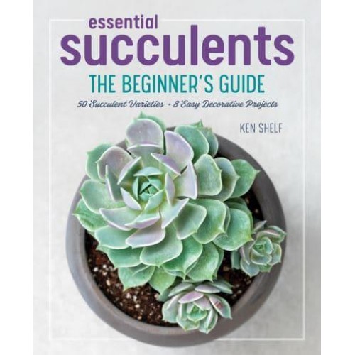 Essential Succulents The Beginner's Guide
