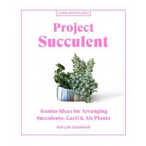 Project Succulent Genius Ideas for Arranging Succulents, Cacti & Air Plants - Living With Plants