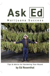 Ask Ed: Marijuana Success Tips and Advice for Gardening Year-Round