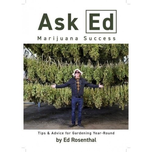 Ask Ed: Marijuana Success Tips and Advice for Gardening Year-Round