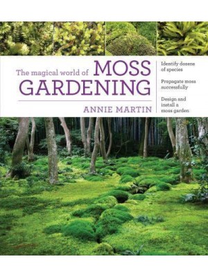 The Magical World of Moss Gardening